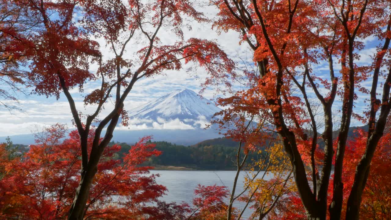 日本川口湖，秋天有红枫的富士山视频下载