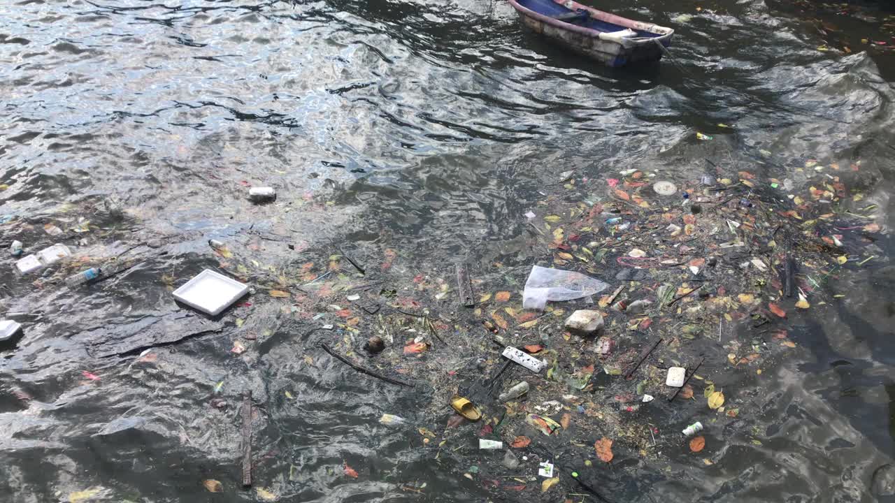 海洋中的塑料问题视频下载