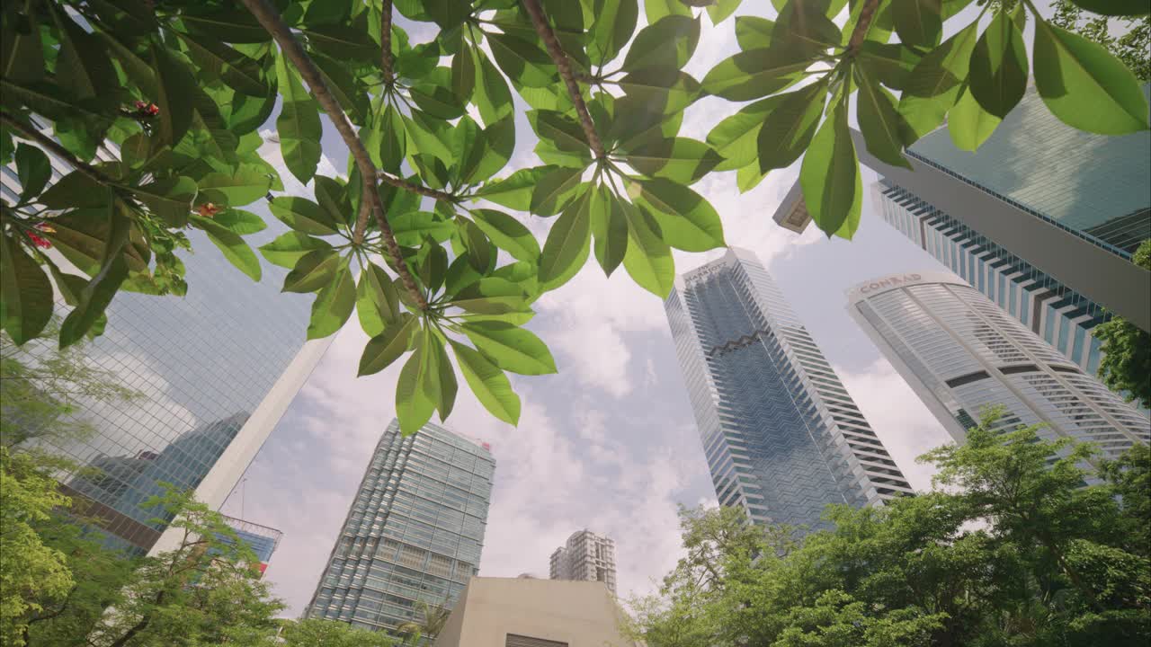 有树木的公司大楼的摩天大楼。视频下载