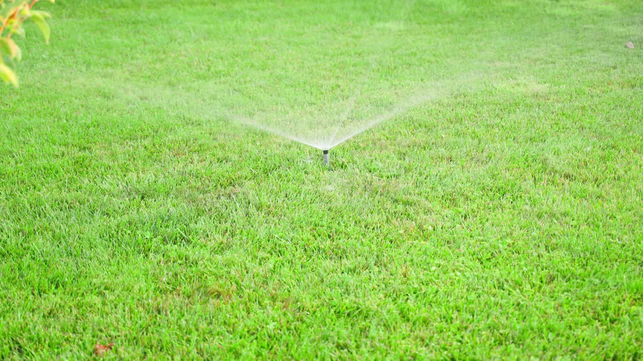 安装在草坪上的洒水器在浇水关闭后隐藏在草丛中。隐藏式集成自动供水系统视频素材