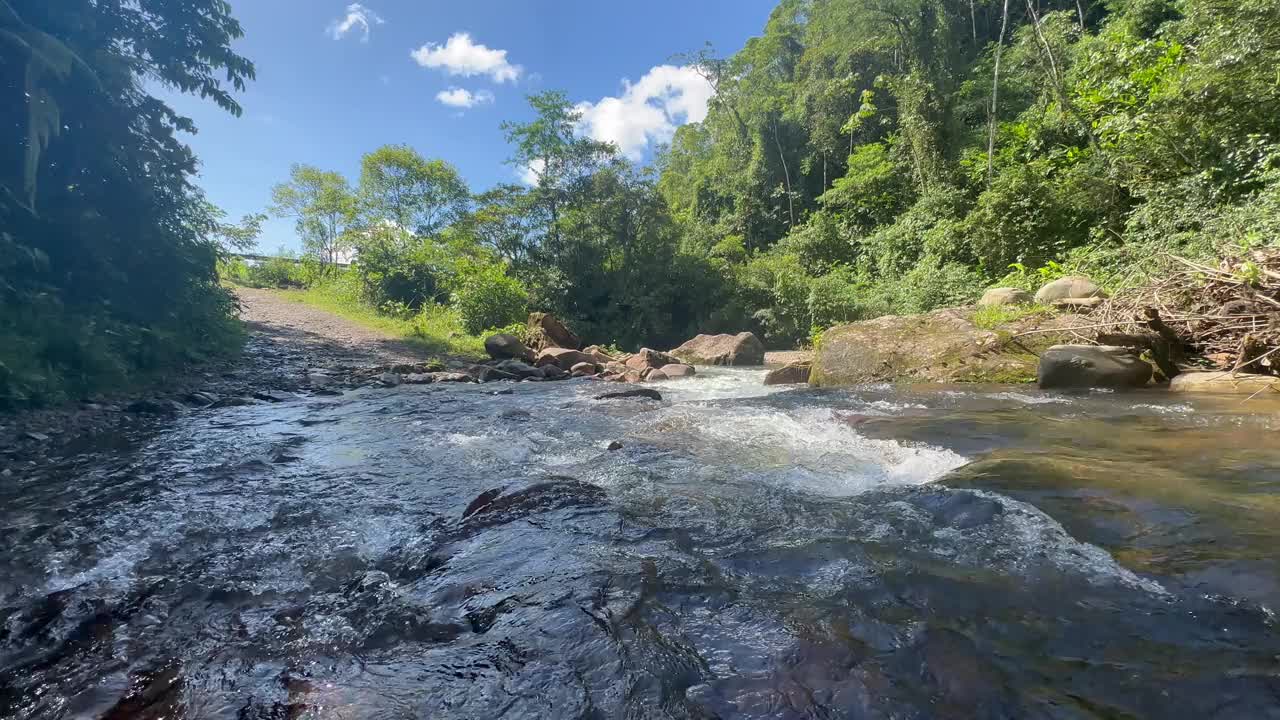 厄瓜多尔的丛林河流和河流景观视频下载