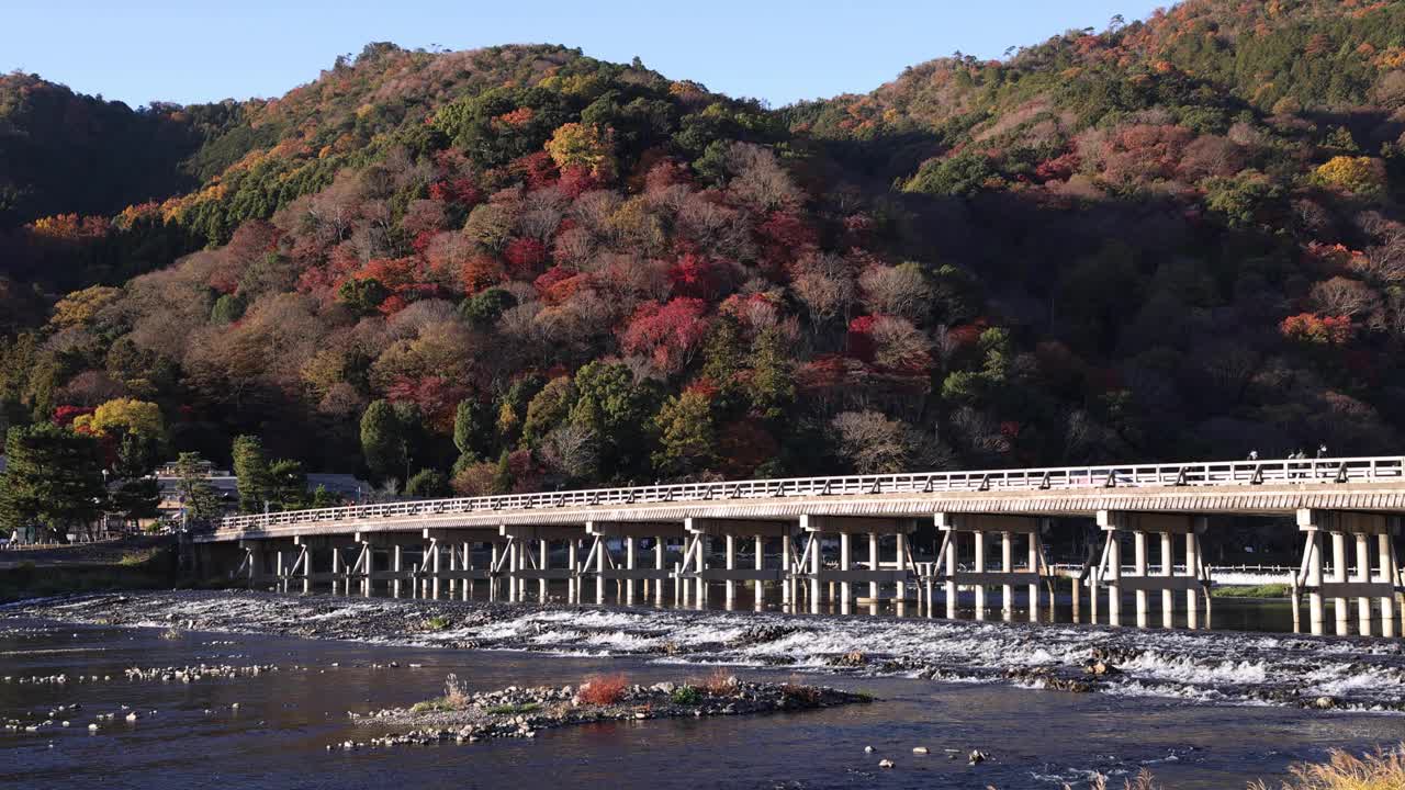 秋天拍摄的京都桂川河附近的东津桥视频下载