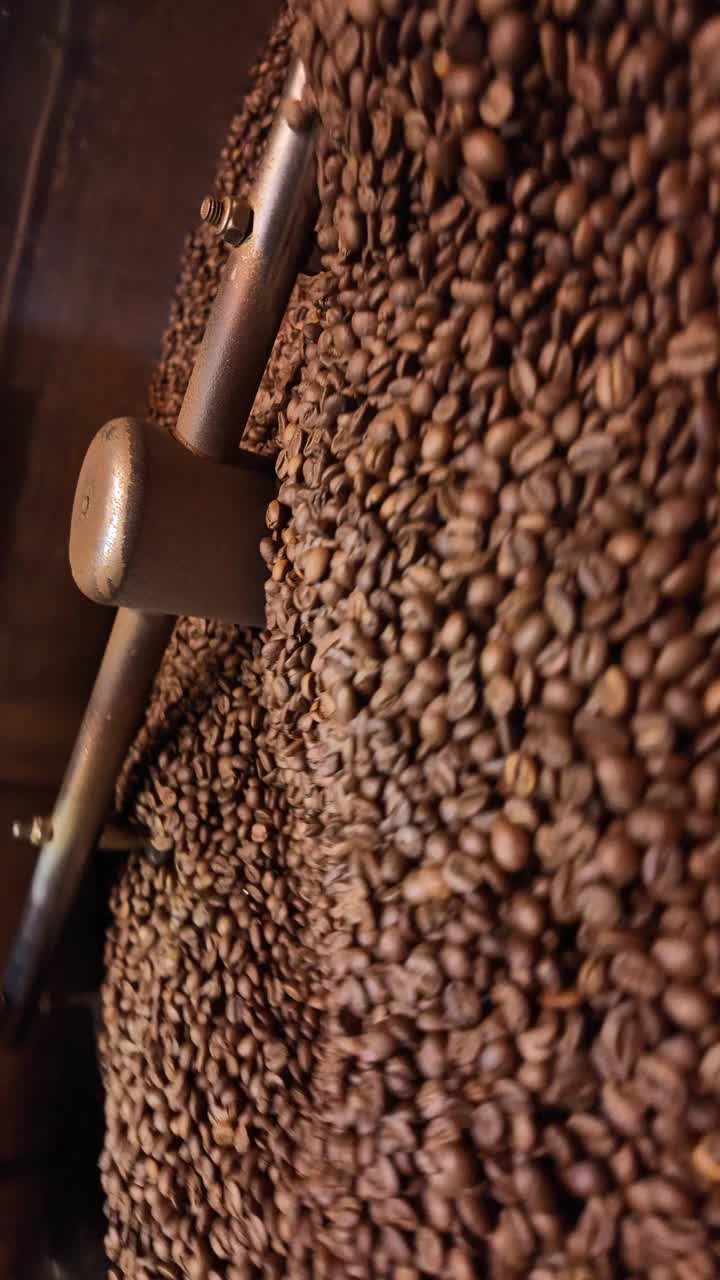 新鲜烘焙咖啡豆在搅拌机视频下载