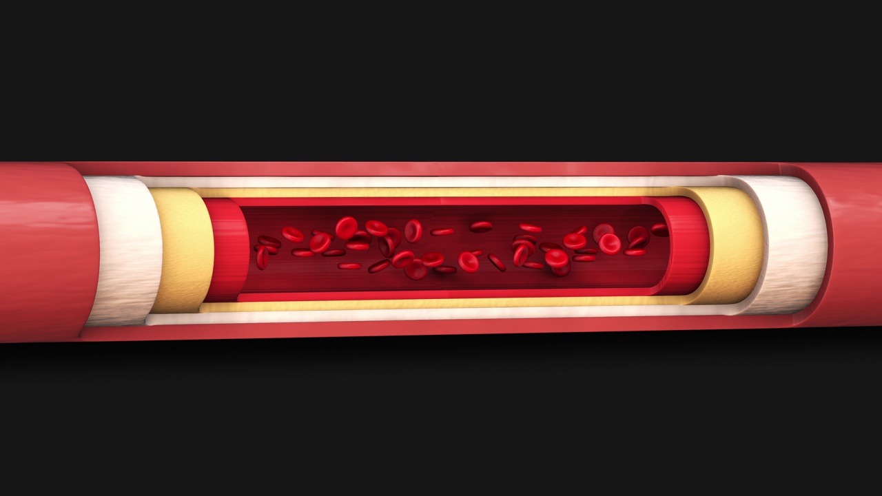 红细胞在动脉内循环视频下载