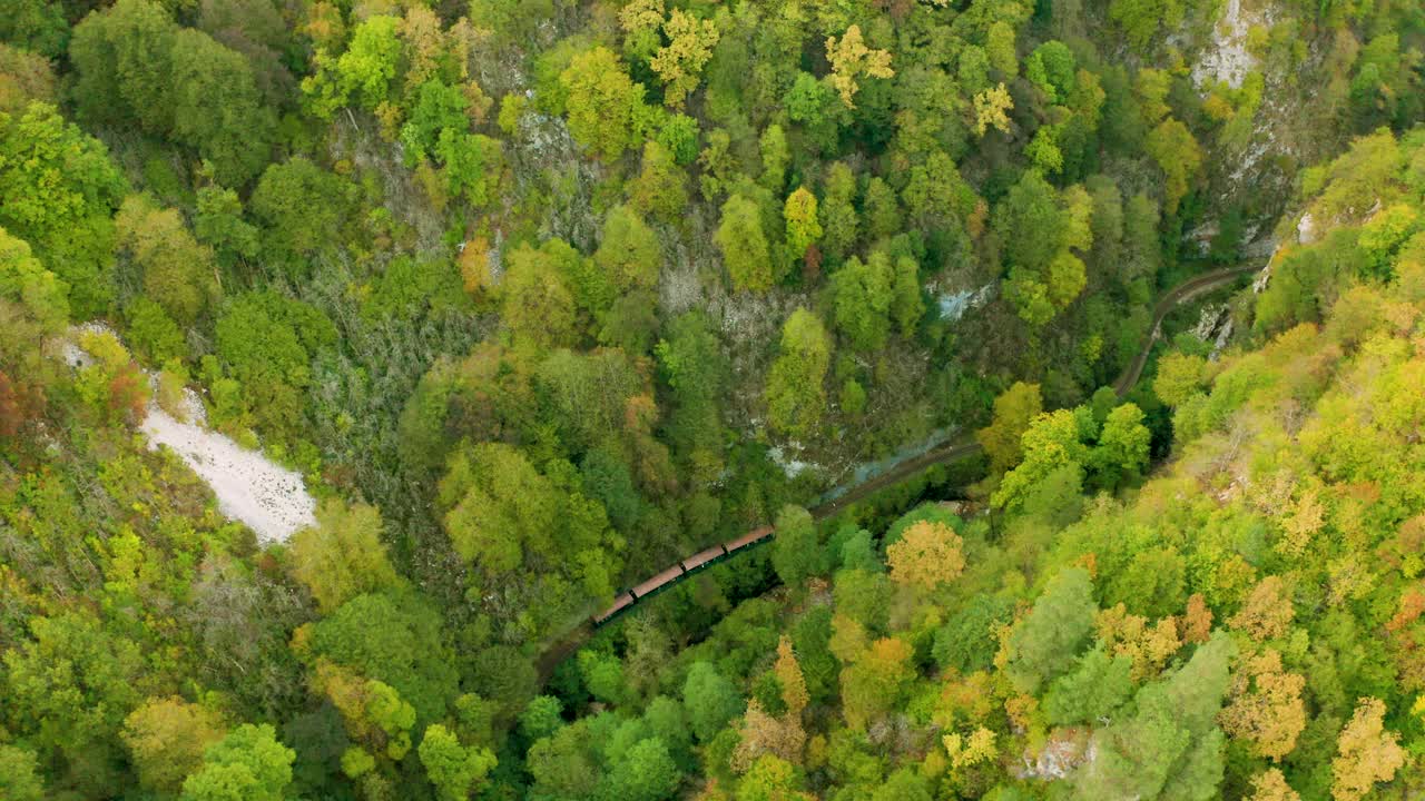 一列载着游客的旅游火车沿着窄轨铁路穿过长满绿色森林的山峡。从上面看视频下载