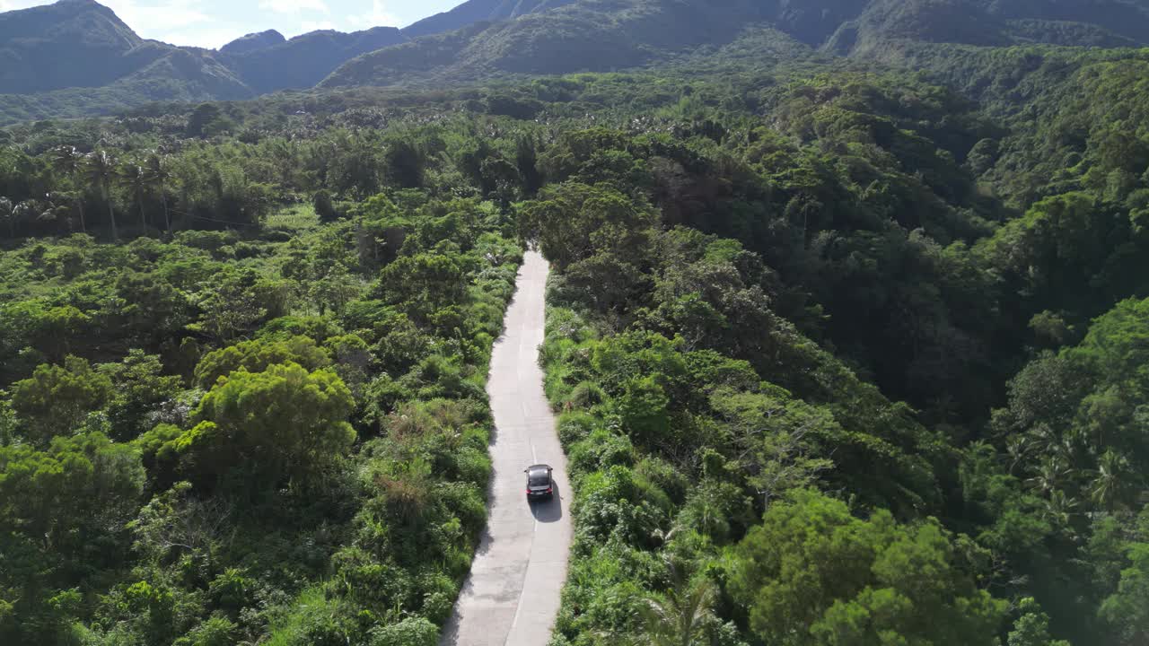 风景与丛林围绕着奔跑的道路和汽车视频下载