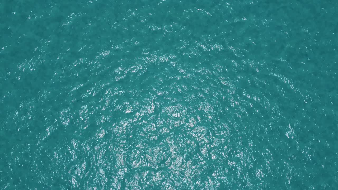 在巴哈马碧绿的海水中，一艘帆船双体船的鸟瞰图视频素材