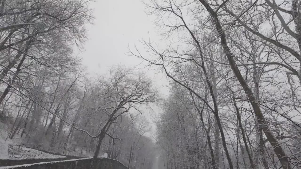在乡下的雪树下开车视频下载