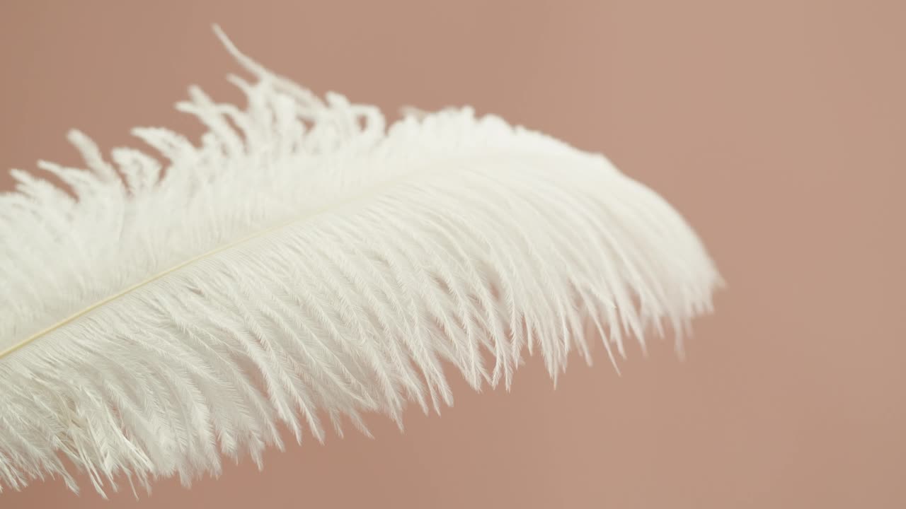 白色羽毛纹理，触摸软羽在米色背景特写。柔软和皮毛柔嫩的概念。视频下载