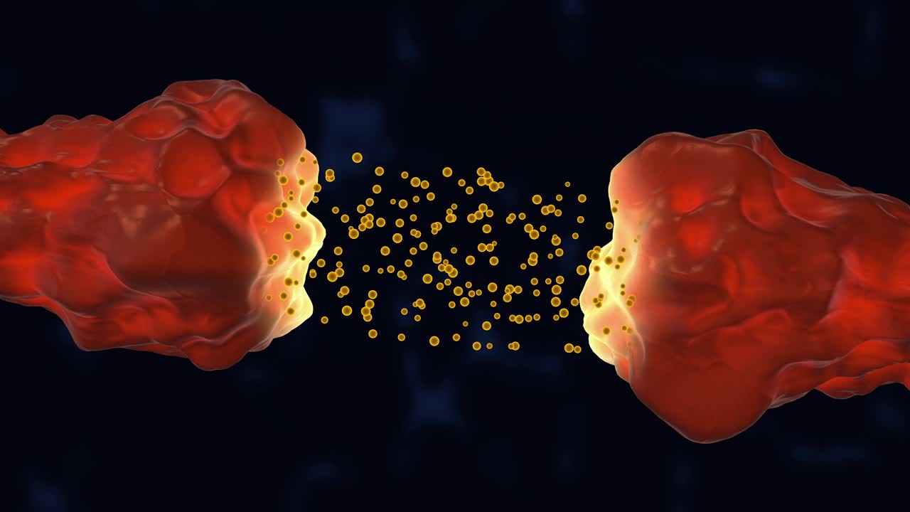 神经元和突触活动医学动画视频下载