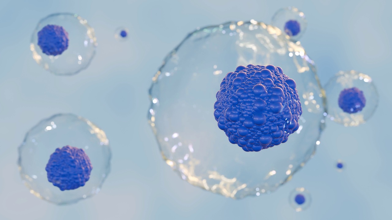 一组漂浮的干细胞的3d动画视频下载