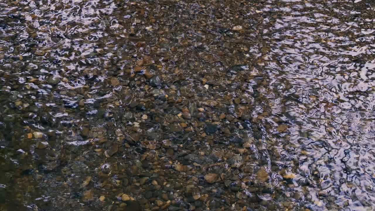 浅水潺潺的小溪里的鹅卵石。视频下载