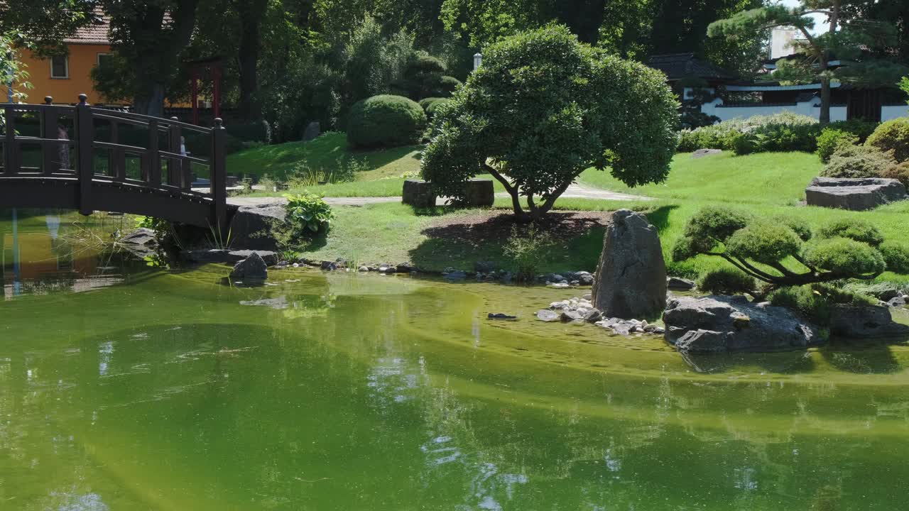 德国Bad Langensalza的一个美丽的日式景观公园。湖，木架，红桥。视频下载