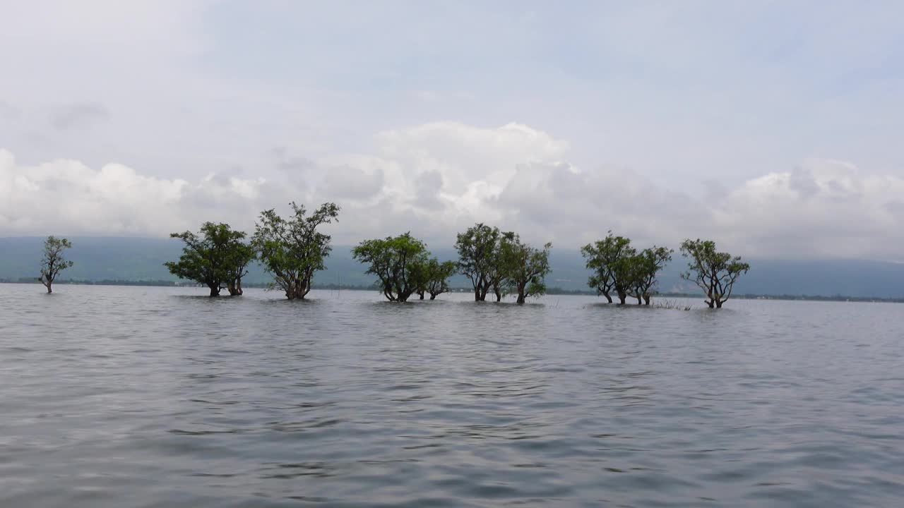 哈尔沼泽地区湿地水中的树木。孟加拉国苏南甘杰的哈尔湿地水景。视频下载