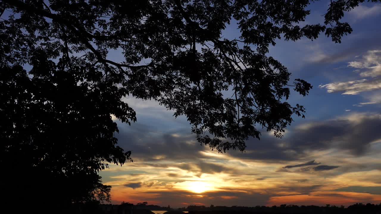 美丽的日出时间剪影树和树叶的观点孟加拉国。傍晚橙色的天空在哈尔地区引人注目的云视图。视频下载