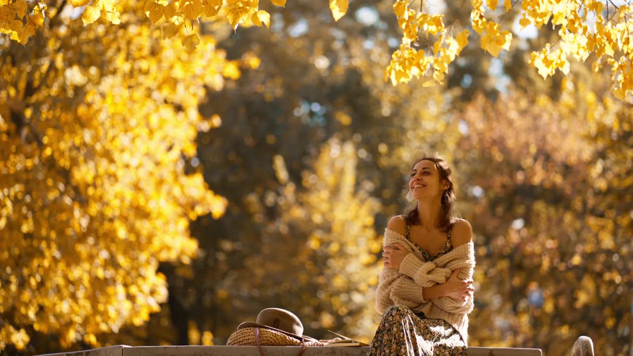 秋天的肖像，美丽的微笑的女人穿着连衣裙和针织毛衣在户外。在温暖的阳光明媚的日子里，女孩坐在公园的树枝上，背景是黄叶的树木。视频下载