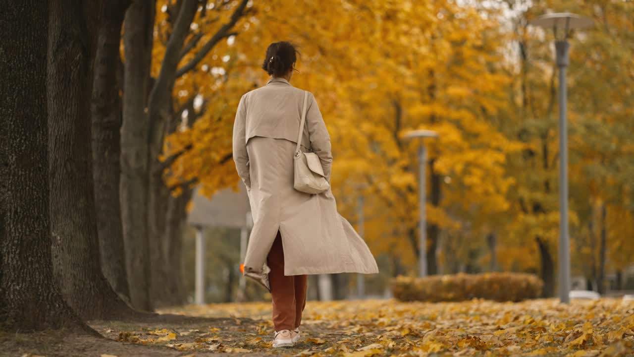 一个迷人的黑发女人的后视图，穿着大衣，在秋天的一天走在公园里，树上有枯黄的叶子。快乐的美丽女人在秋天的户外。慢动作4k镜头。视频下载