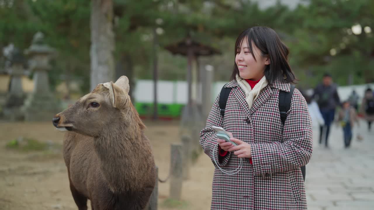 一名女游客在日本奈良公园用智能手机给鹿拍照视频下载