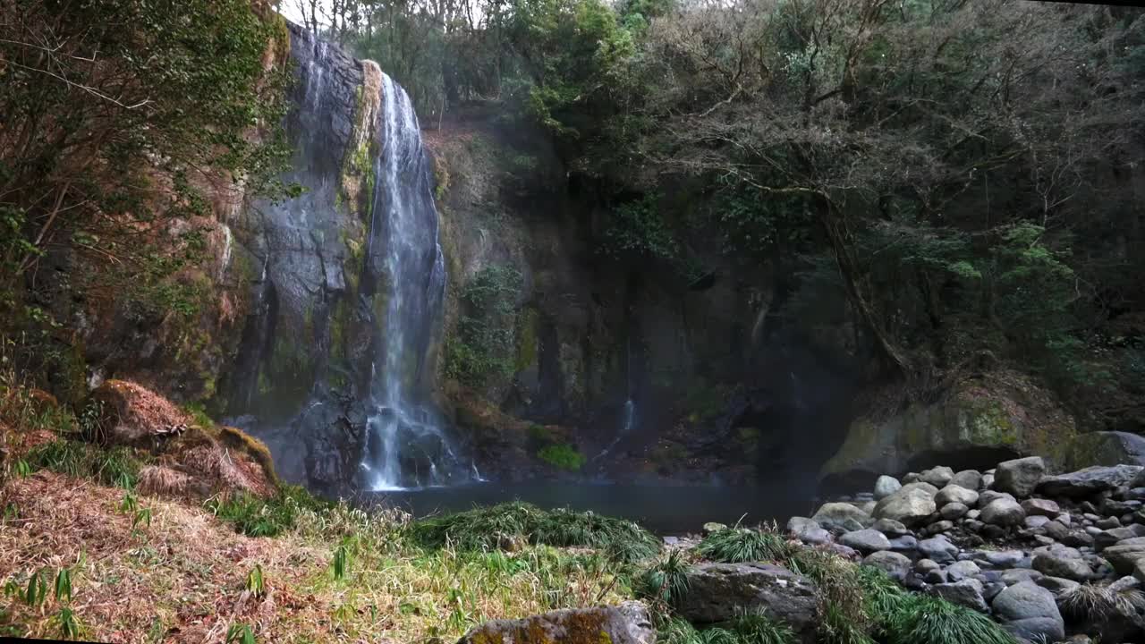 美丽的;森林深处的瀑布和泻湖视频下载