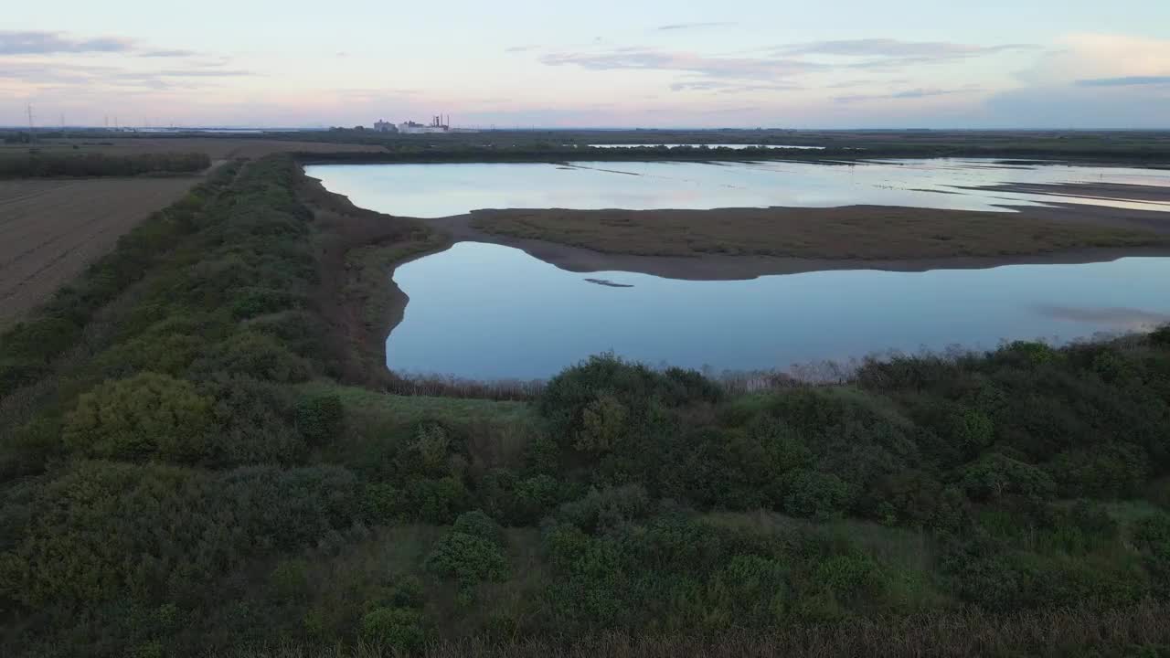 清晨沼泽地的鸟瞰图视频下载
