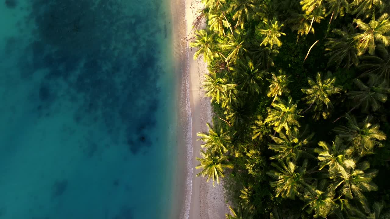 巴拉望岛巴顿港白沙滩鸟瞰图-无人机4K视频下载