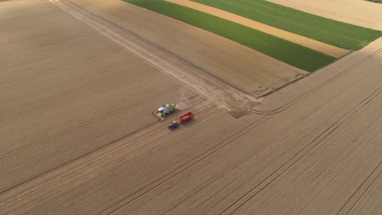 大收割机在麦田收割的鸟瞰图视频下载