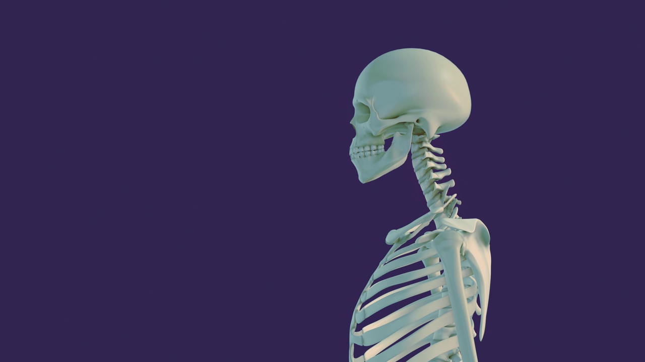 颈椎体位综合征或颈部疼痛的医学动画视频下载