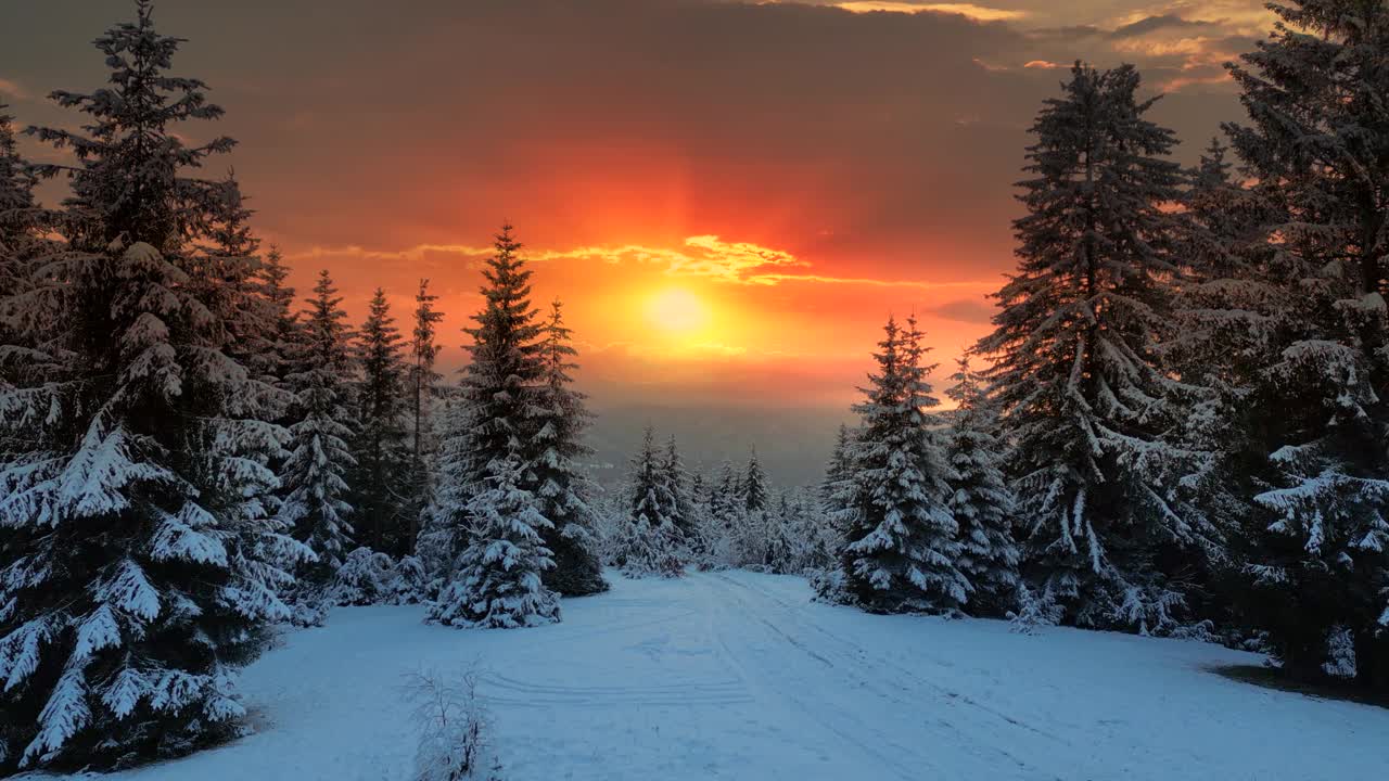 无人机拍摄的冬季日落时森林的画面视频下载