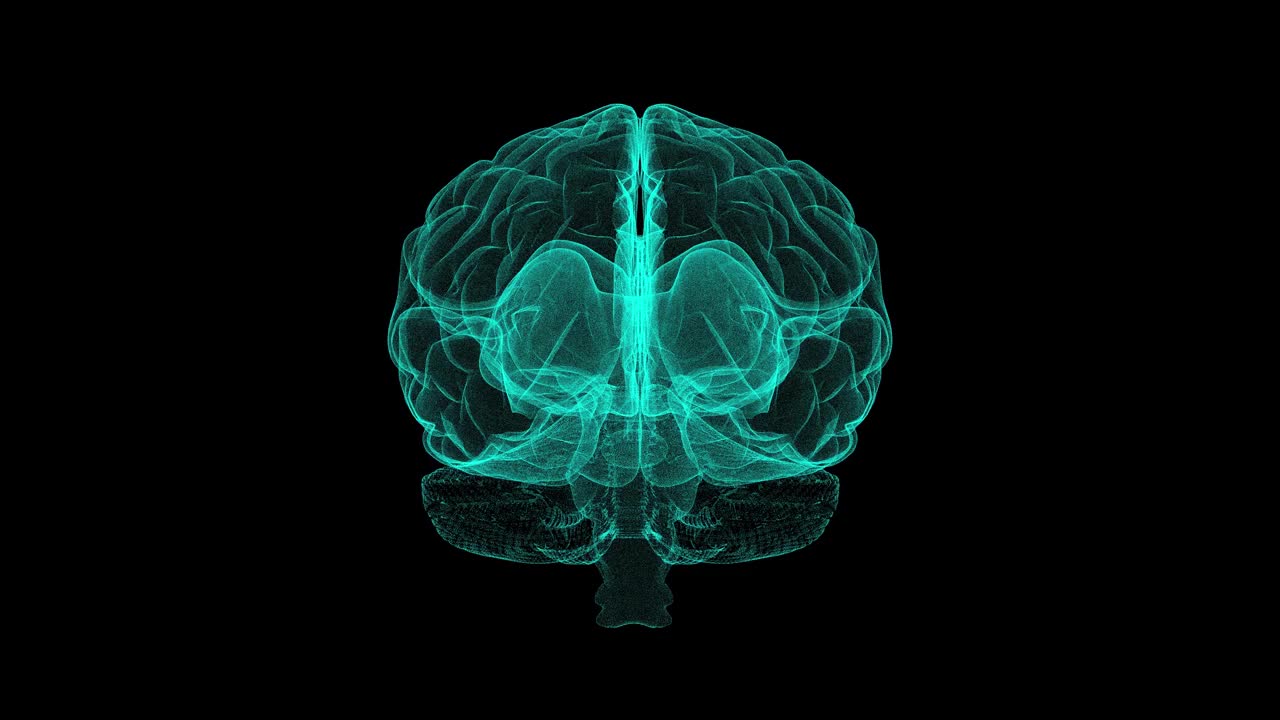 人脑扫描全息图旋转效果黑色背景动画视频下载