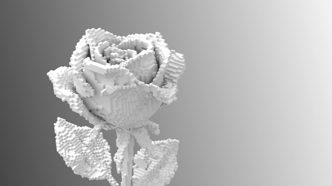 数字花白玫瑰分解为3d像素。3 d动画。4 k。视频下载