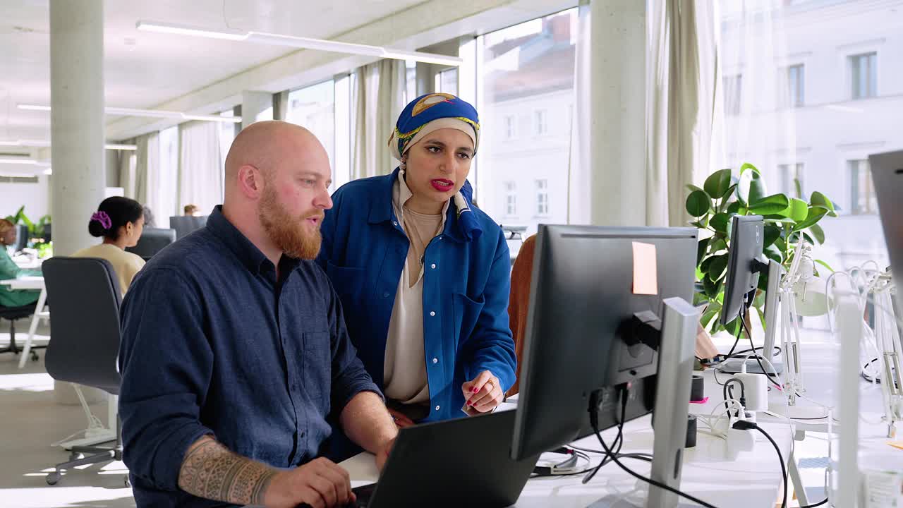 两个程序员一起在一家新成立的IT公司工作视频下载