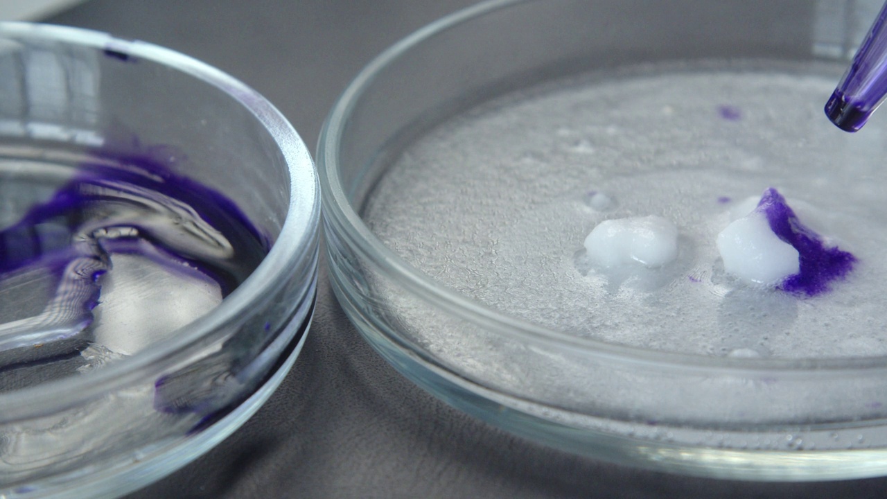 两个培养皿的特写。丁香试剂溶解固体白色物质的实验视频素材