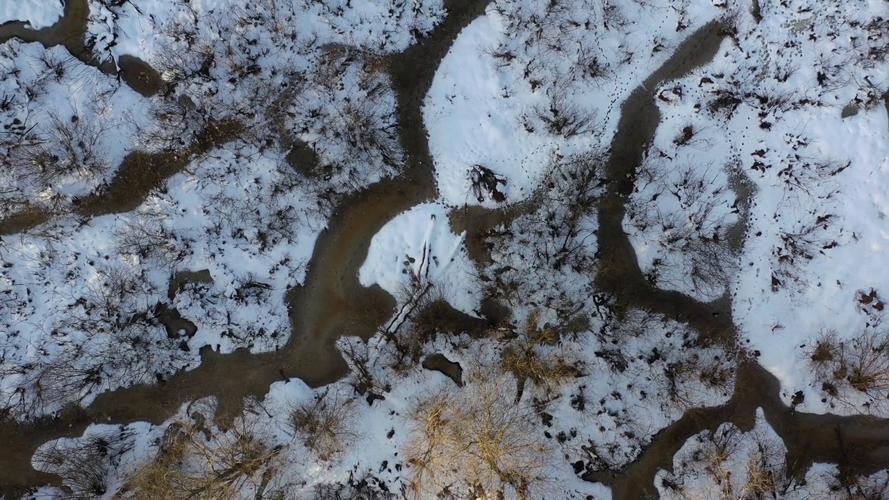 海狸蓖麻纤维世界在冬天的时候，空中飞翔视频下载