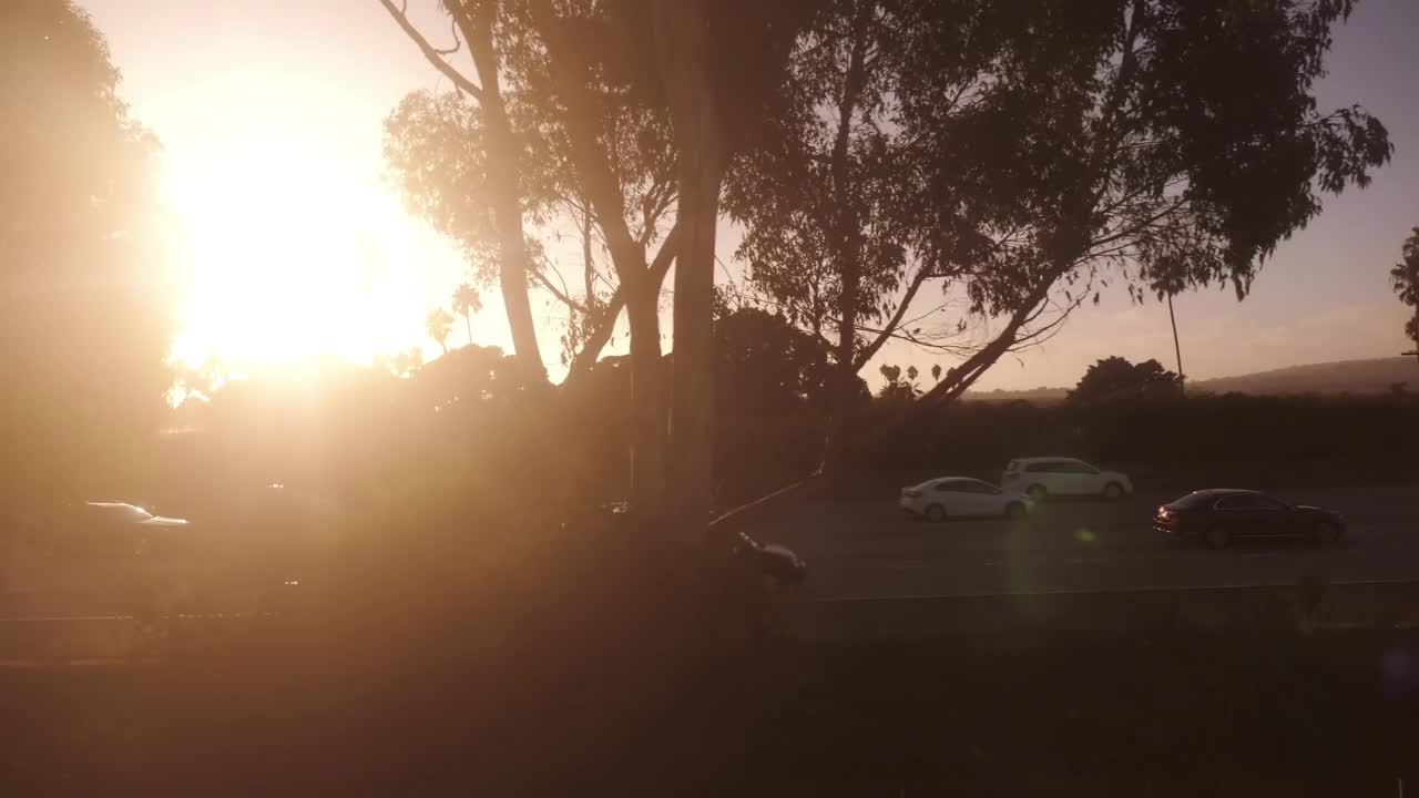 加州高速公路上的日落，树木的剪影，4k慢动作，60fps视频下载