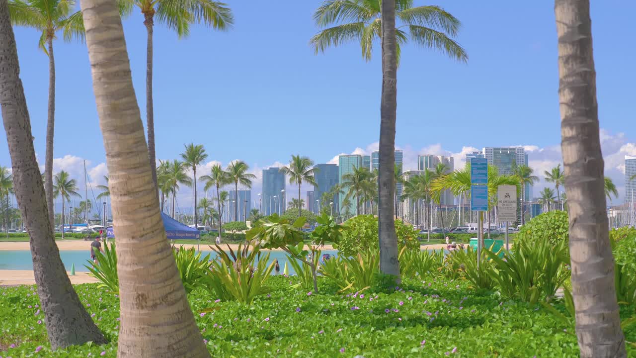 通往檀香山现代城市景观的棕榈树小径，4k慢动作60fps视频下载