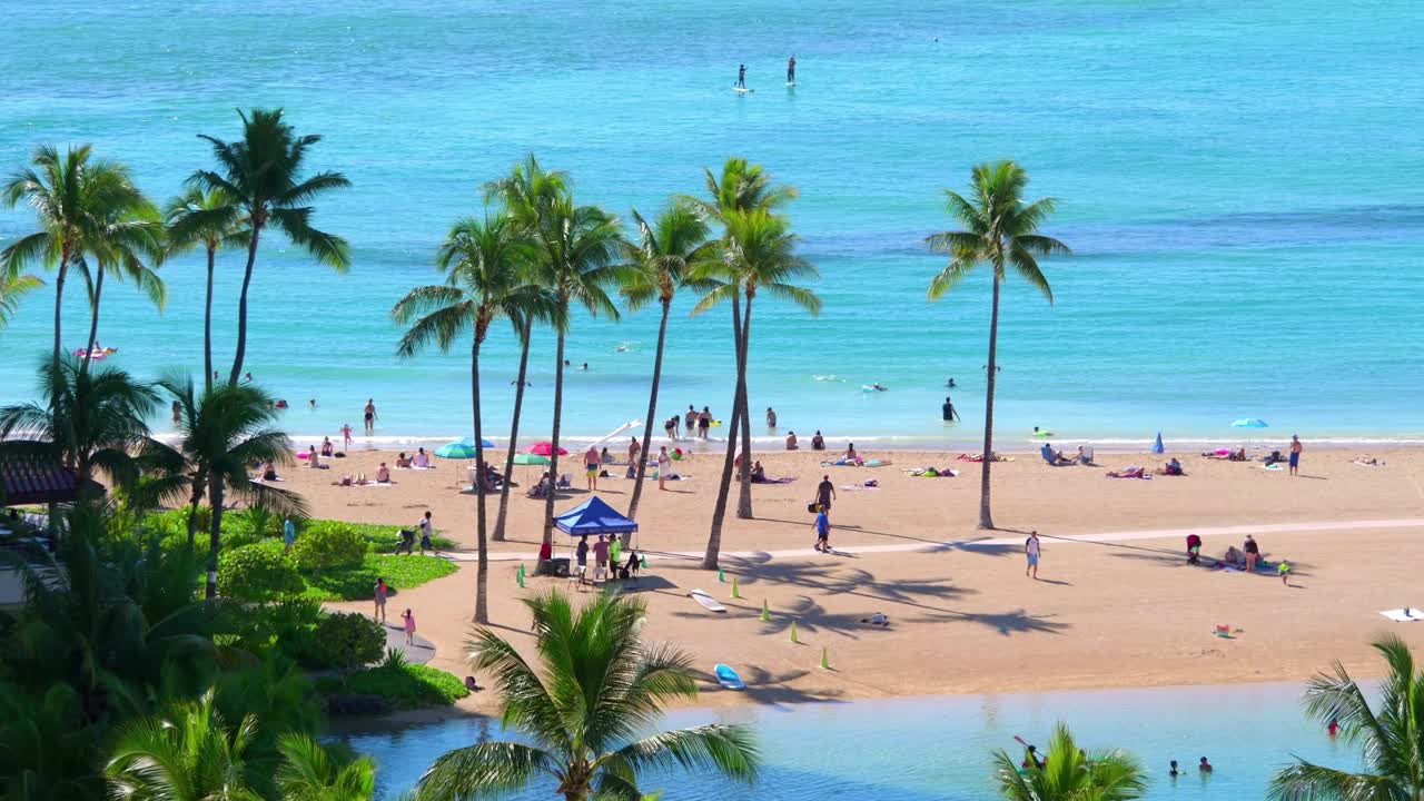 生动的檀香山海滩场景，清晰的海洋和棕榈树在4k慢动作60fps视频下载