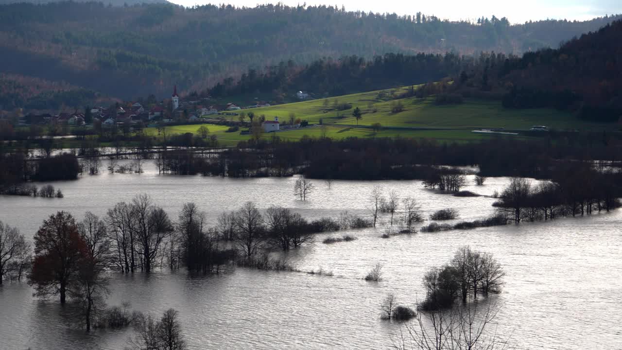 淹水的田地和倒映在水中的树木。斯洛文尼亚的Planina油田。视频下载