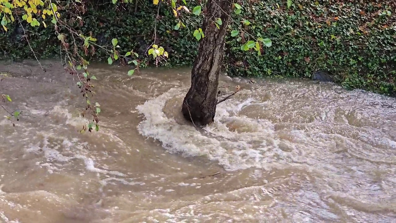 暴雨后汹涌的河水。视频下载