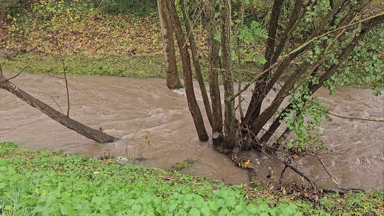大雨过后湍急的河水视频下载
