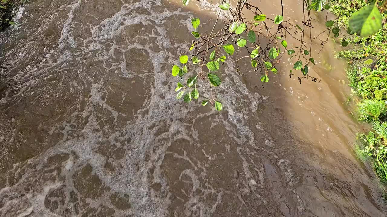 大雨过后湍急的河水视频下载