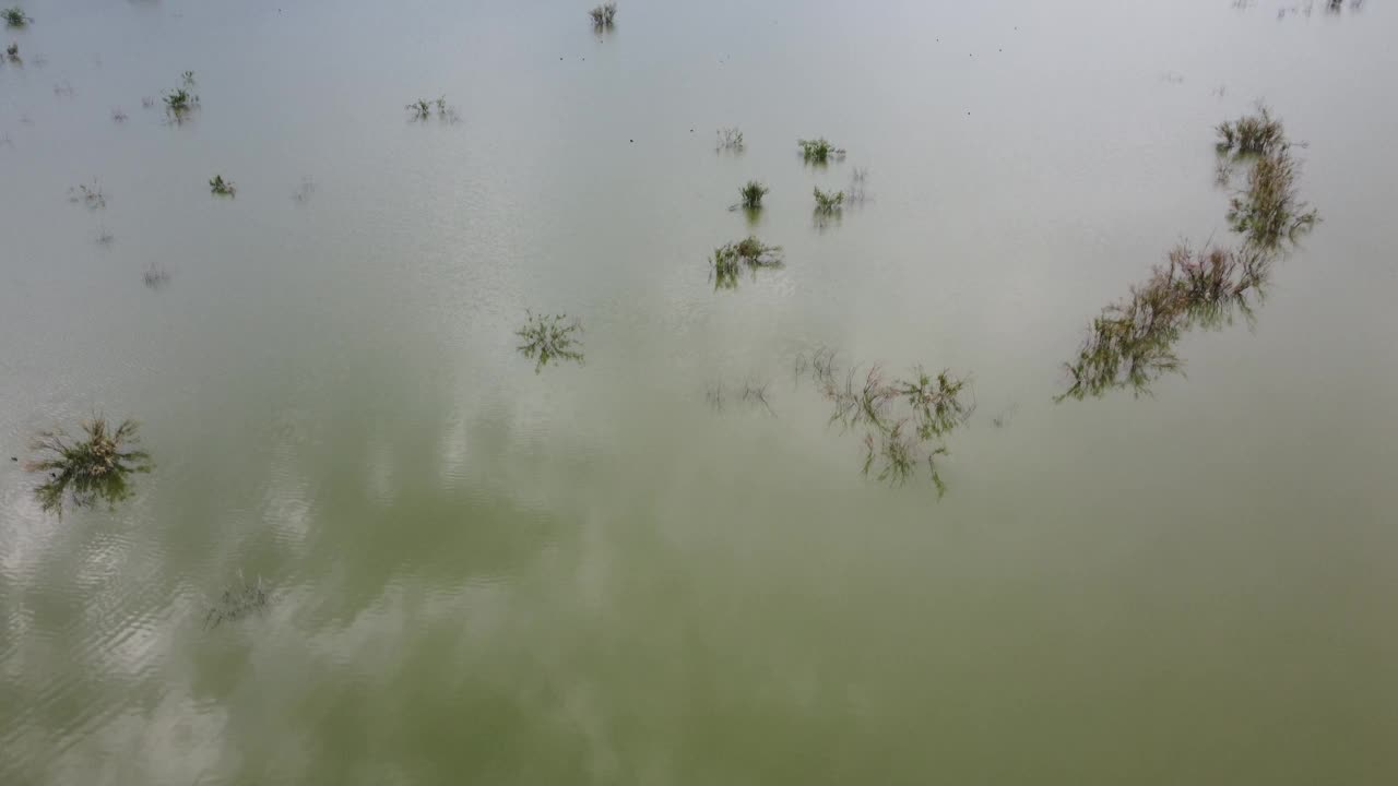 西班牙农业灌溉水库岸边的鸟瞰图。视频下载
