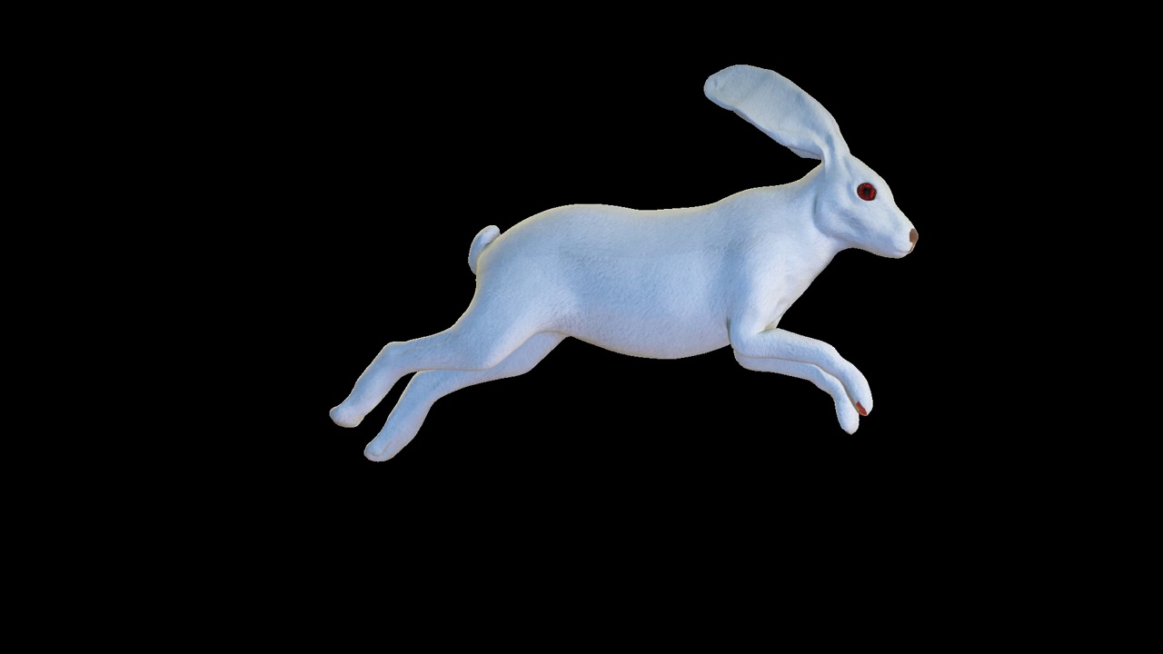 白色复活节兔子跑，复活节彩蛋狩猎概念，循环，Alpha通道视频下载