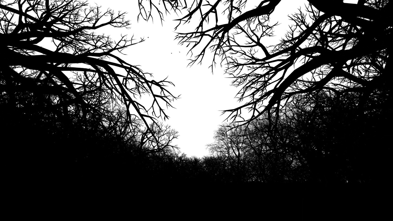相机飞过黑暗幽灵般的森林，空间的文字或标志，Luma哑光附加视频下载