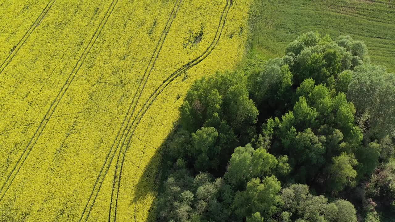 春天的土地上有田野和树林，空中视频下载
