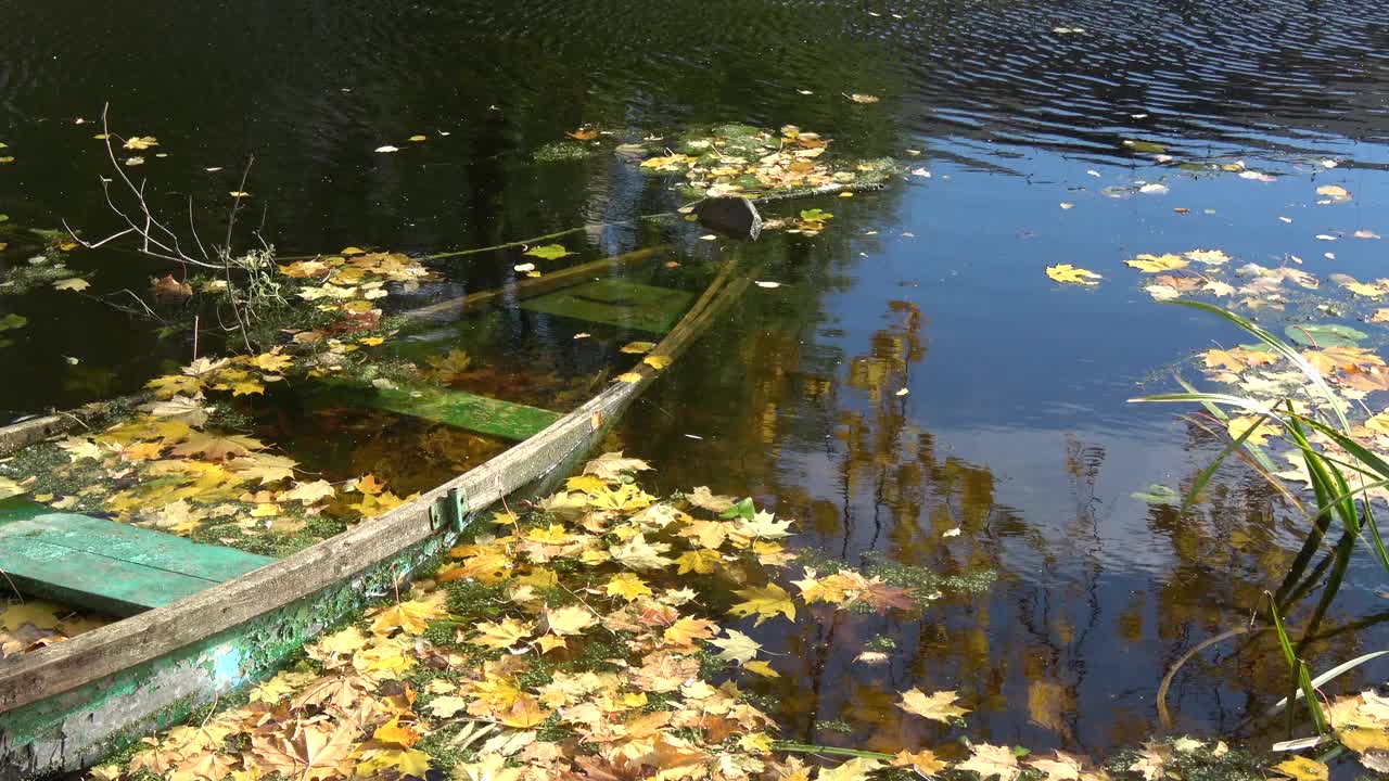 河中满是秋天的船，十月的树叶视频下载