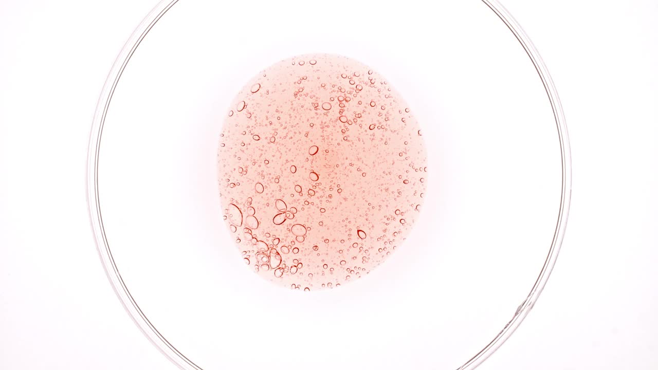 透明粉红色流体油，血清，凝胶从培养皿。化学实验室研究。天然有机化妆品，医药。生产天然化妆品特写。4 k视频下载