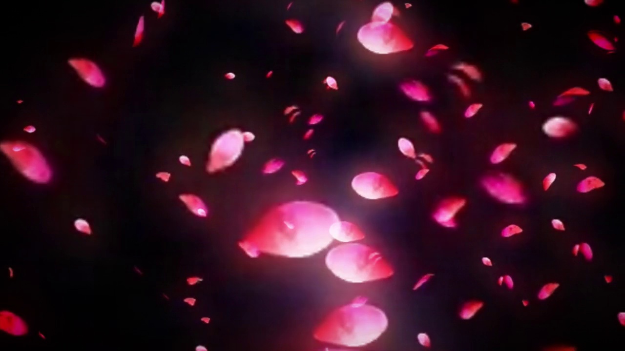 玫瑰花瓣漂浮和下降的动画在黑色背景视频下载