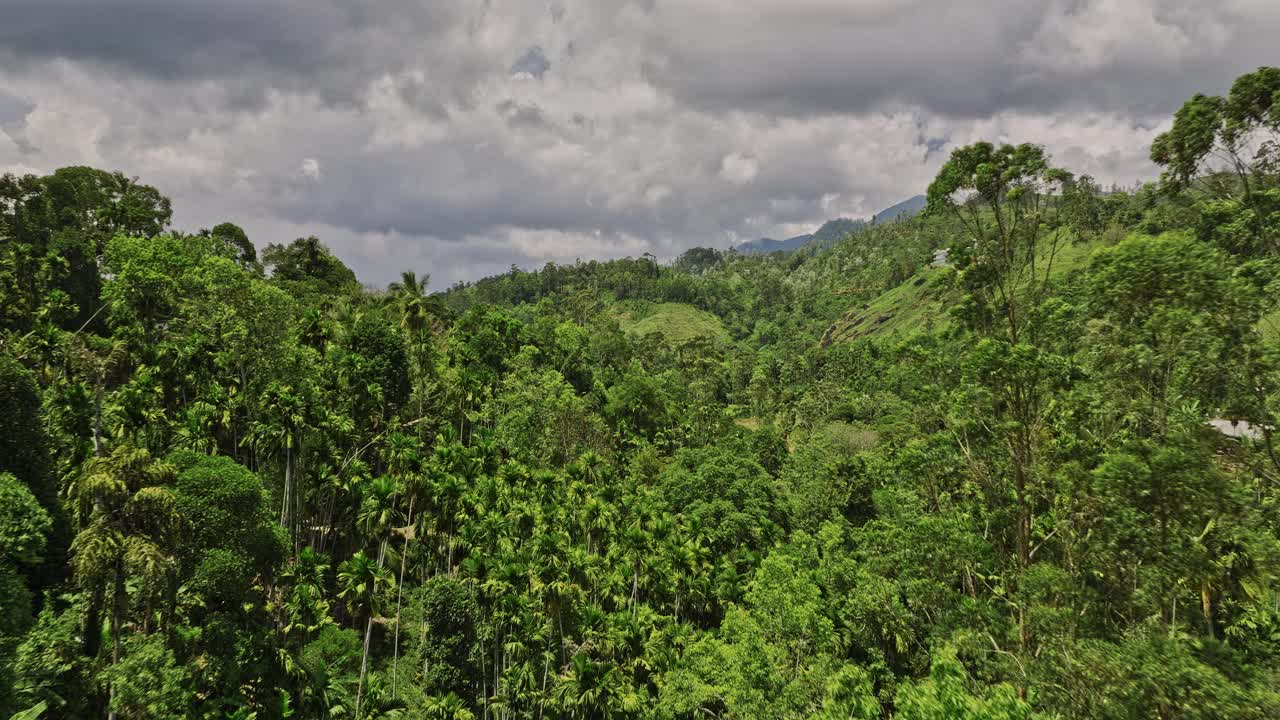 Ella Sri Lanka Aerial v28电影无人机飞越翠绿的山谷，捕捉山区景观的荒野，山坡丛林森林和郁郁葱葱的绿色植物-用Mavic 3 Cine拍摄- 2023年4月视频素材