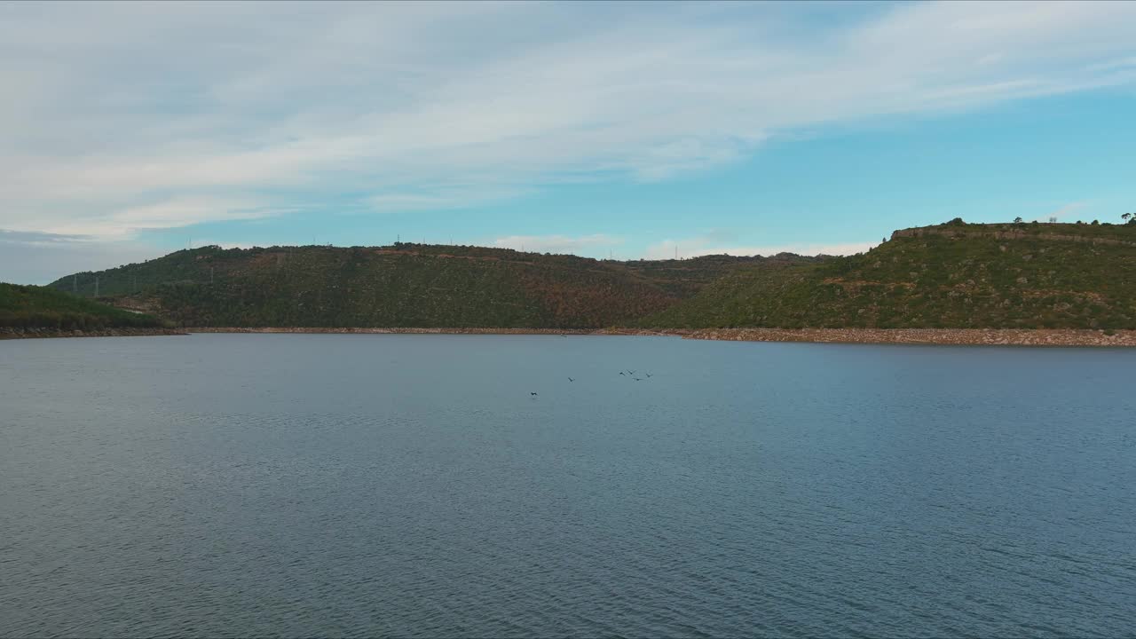 鸟儿飞过Embalse de Rialb水坝，无人机在加泰罗尼亚莱伊达拍摄视频下载