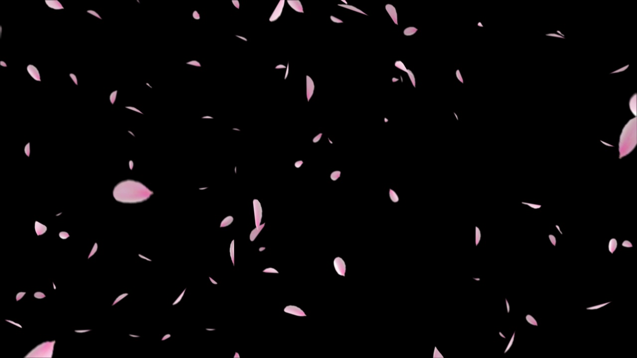 动画合成粉红色的樱花花瓣在空中跳舞视频下载